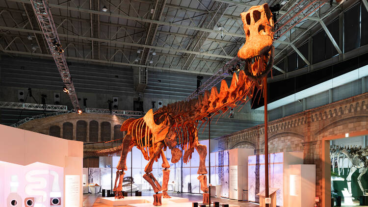 dino exhibit
